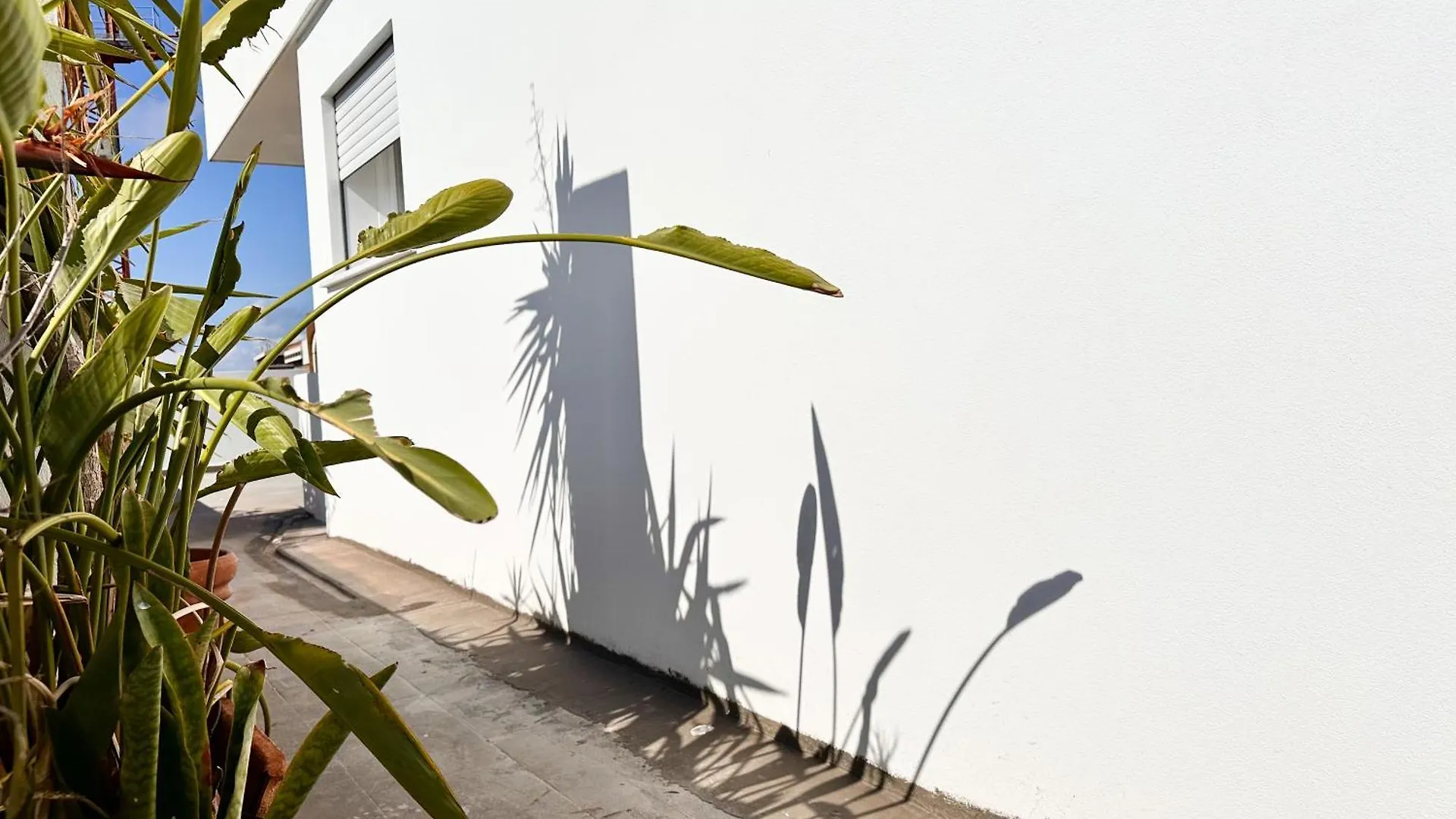 Apartmán Flamingo Tra Parco E Mare Ap3 Cagliari